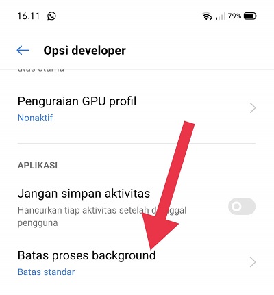 setting opsi developer untuk agar game tidak relog