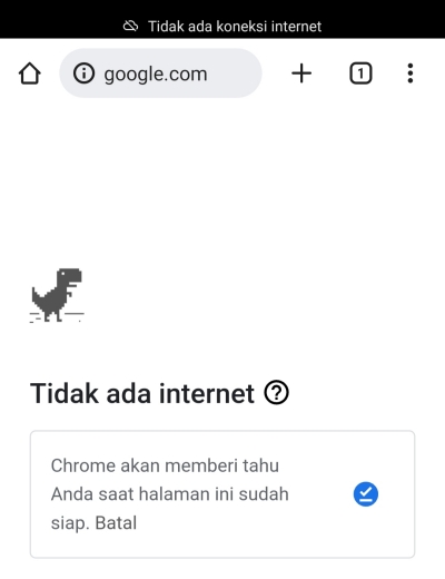 Google Chrome HP Tidak Bisa Browsing